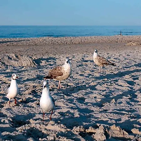 In Nahe Ostseestrand 别墅 *