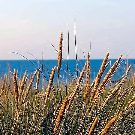 In Nahe Ostseestrand * 青斯特